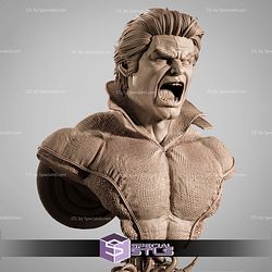 Banshee Marvel Heroes Bust STL Files