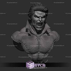 Banshee Marvel Heroes Bust STL Files