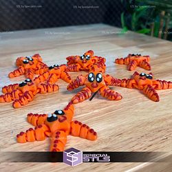Basic STL Articulated Starfish