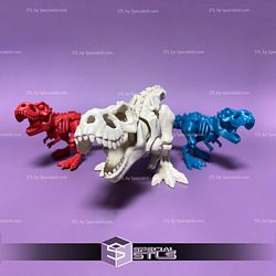 Basic STL Files T Rex Skeleton Articulated