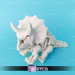 Basic STL Files Triceratops Skeleton Articulated