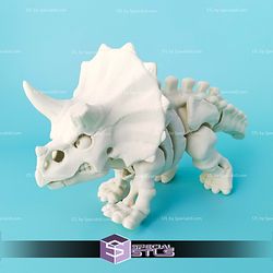 Basic STL Files Triceratops Skeleton Articulated