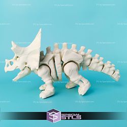 Basic STL Files Triceratops Skeleton Articulated