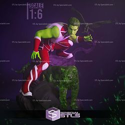 Beastboy and Animals STL Files