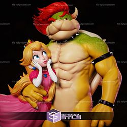 Bowser And Peach Mario Galaxy Movie STL Files