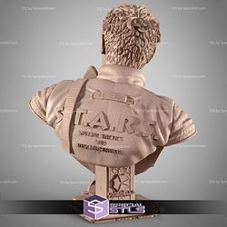 Chris Redfield Resident Evil Portrait Bust 297mm STL Files