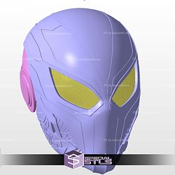 Cosplay STL Files X Beetle Spider Man