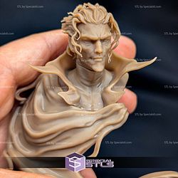 Crimsonus Noctis Bust STL Files