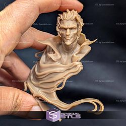 Crimsonus Noctis Bust STL Files