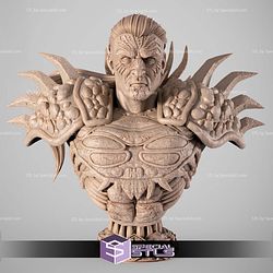 Darth Krayt 415mm STL Files