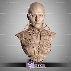 Female Cenobite Portrait Bust STL Files