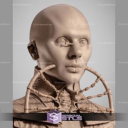 Female Cenobite Portrait Bust STL Files