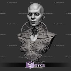 Female Cenobite Portrait Bust STL Files
