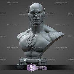 Flash Museum Pose Bust STL Files
