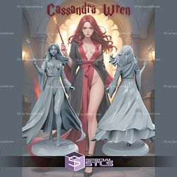 Foxy Witches Campaign STL Miniatures