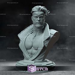 Havok Bust 1-10 STL Files