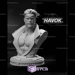 Havok Bust 1-10 STL Files