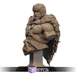 He Man New Style Bust STL Files