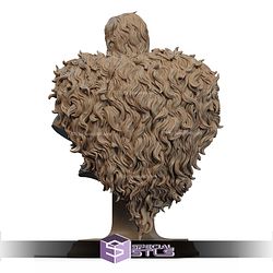 He Man New Style Bust STL Files