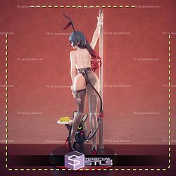 Jane Doe Bunny Zenless Zone Zero STL Files