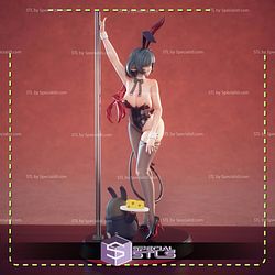 Jane Doe Bunny Zenless Zone Zero STL Files