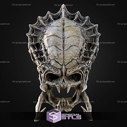 Life Size Predator Skull Trophy STL Files