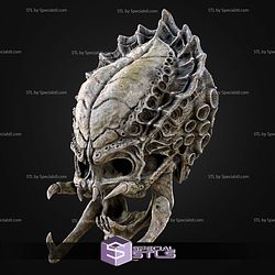 Life Size Predator Skull Trophy STL Files