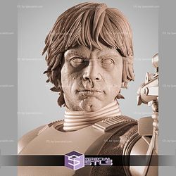 Luke Stormtrooper Pointing 375mm STL Files