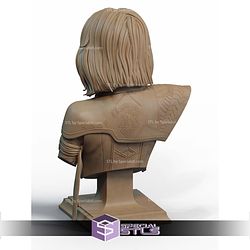 Lune Expedition 33 Guitar Bust STL Files