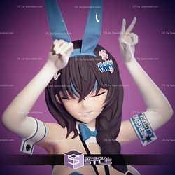 Mary Rabbit Costume Nikke STL Files