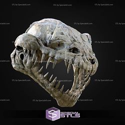 Nexu Skull Trophy STL Files
