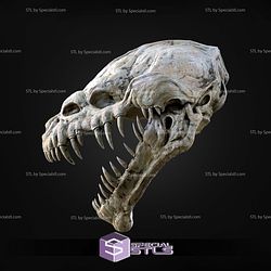 Nexu Skull Trophy STL Files