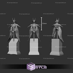 Noctaviel a veiled servant eternal night Bust STL Files