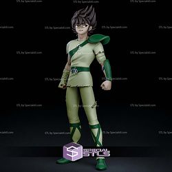 Pegasus Seiya Training STL Files