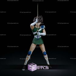 Pegasus Seiya Training V2 STL Files