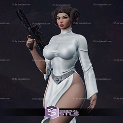 Princess Leia Thicc and Gun STL Files