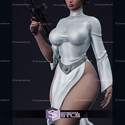 Princess Leia Thicc and Gun STL Files