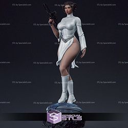 Princess Leia Thicc and Gun STL Files