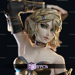 Princess Zelda Sexy Suit STL Files