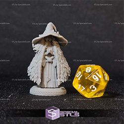 Ranni the Witch 2 Face 32mm STL Files