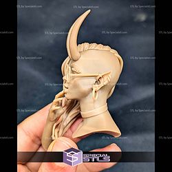 Roxy the Slick Demoness Bust STL Files