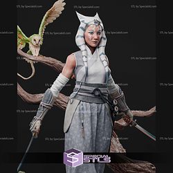 Samurai Ahsoka Spirit STL Files