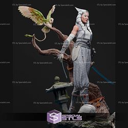 Samurai Ahsoka Spirit STL Files