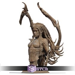 Sarah Kerrigan 2025 Bust STL Files