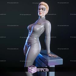 Seven of Nine Star Trek STL Files