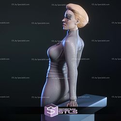 Seven of Nine Star Trek STL Files