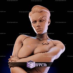 Seven of Nine Star Trek VoyagerSTL Files