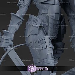 Sheeba the Tigress Warrior 1-12 STL Files