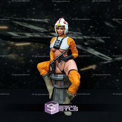 Star Wars Pilot Pin Up STL Files