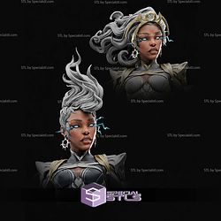 Storm 479mm STL Files